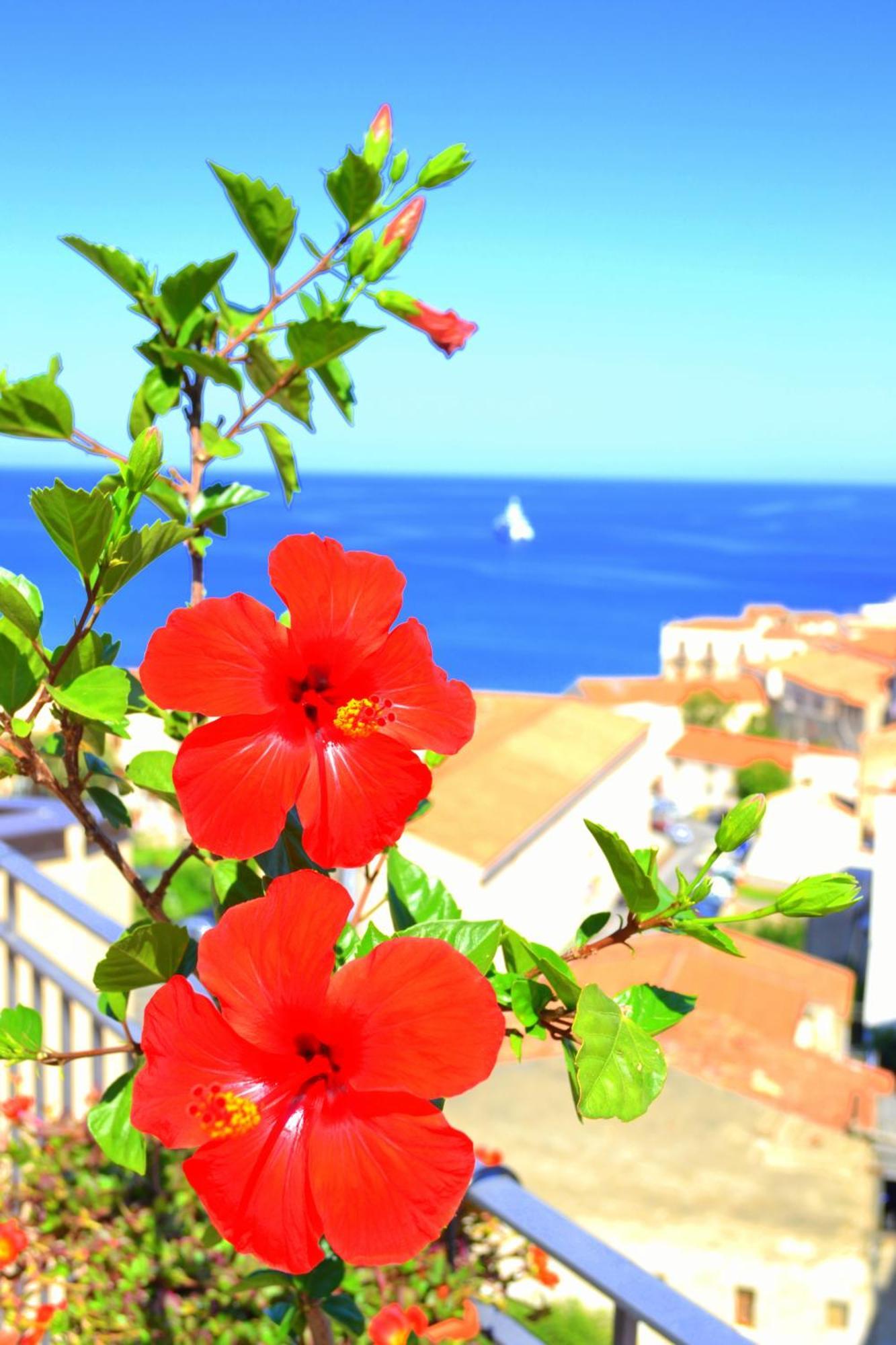 Scirocco Bed and Breakfast Cefalù Εξωτερικό φωτογραφία